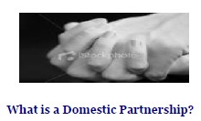 Domestic Partnership